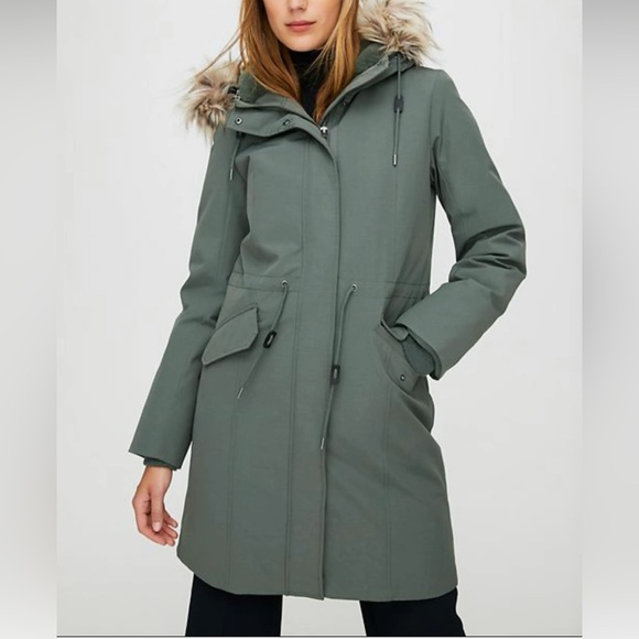 Wilfred Jackets & Blazers - Aritizia Wilfred Northstar Premium Goose Down Parka